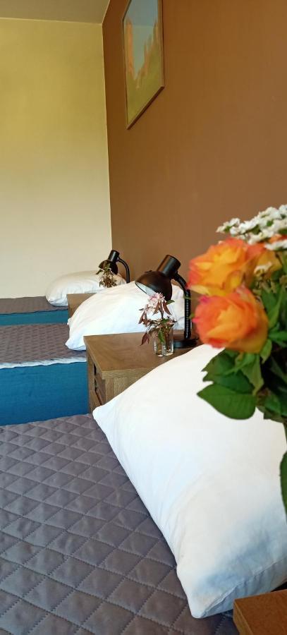 Apartamento Ostoja Czersk Zamek Gora Kalwaria Exterior foto