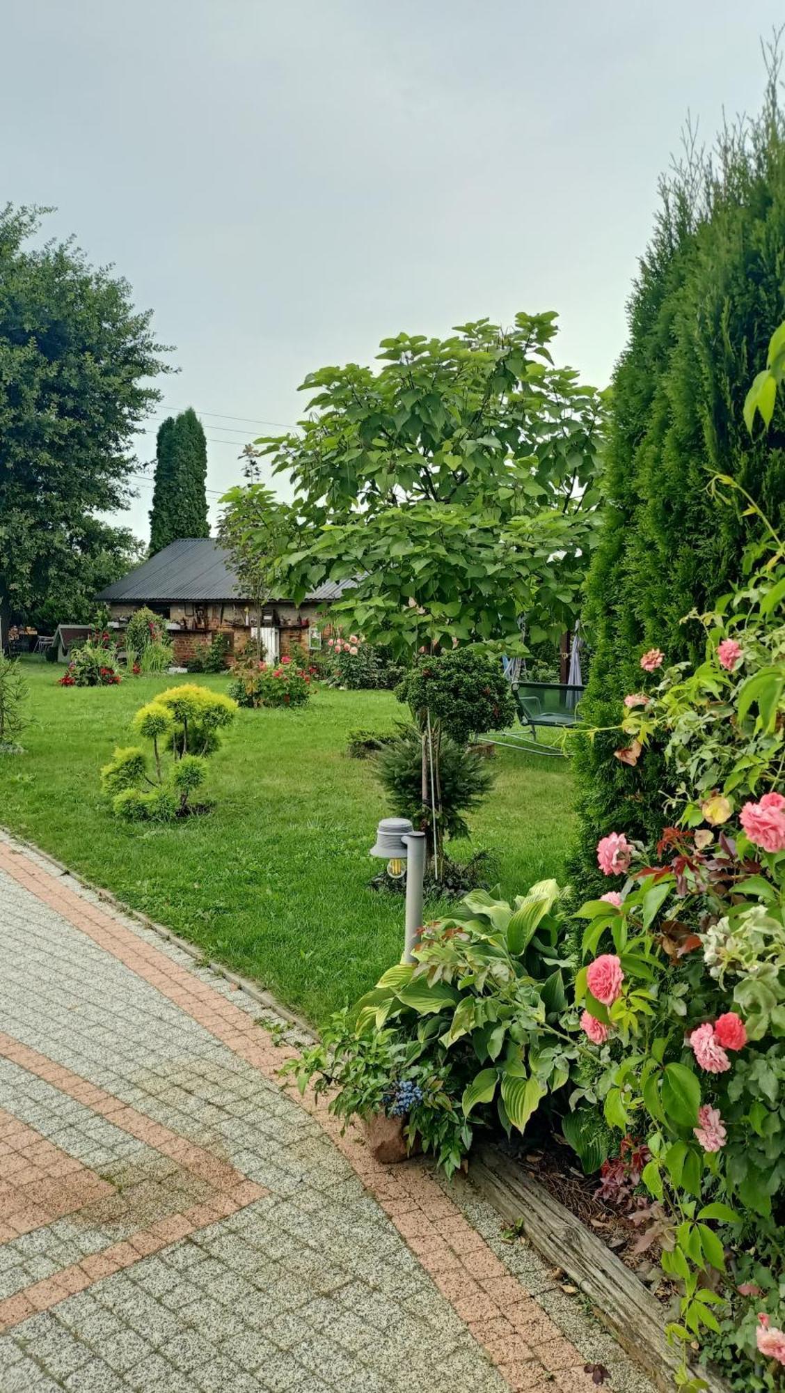 Apartamento Ostoja Czersk Zamek Gora Kalwaria Exterior foto