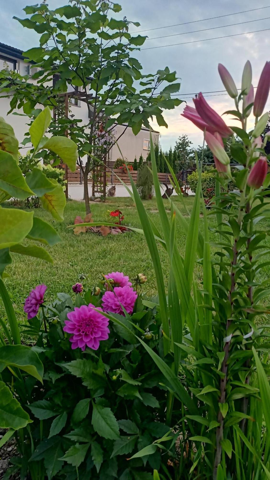 Apartamento Ostoja Czersk Zamek Gora Kalwaria Exterior foto