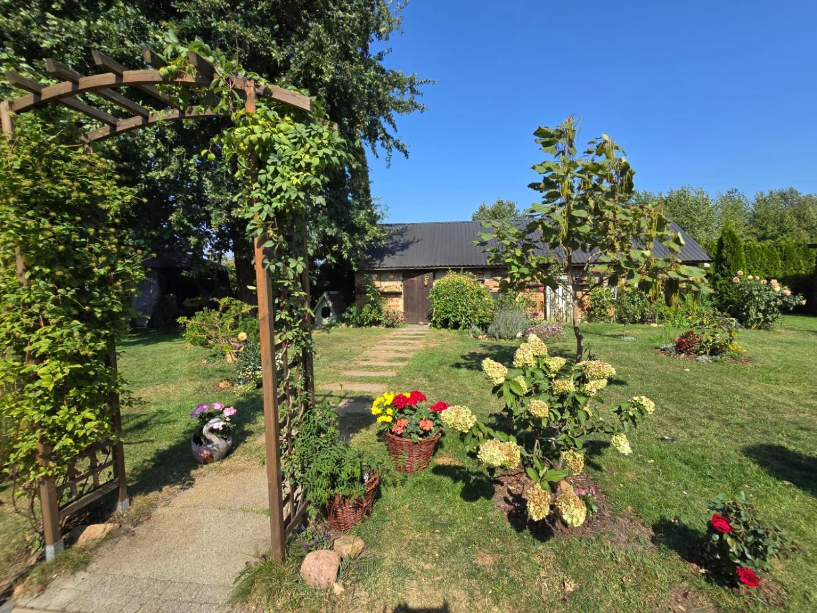 Apartamento Ostoja Czersk Zamek Gora Kalwaria Exterior foto